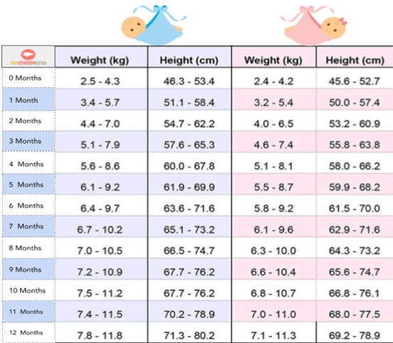 Weight and growth chart for babies