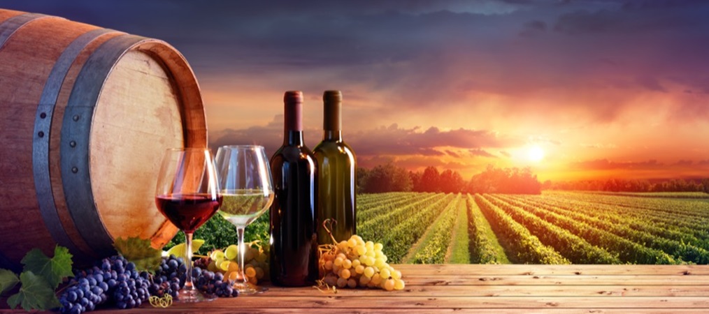 Choosing the Right Wine Club: A Comprehensive Guide